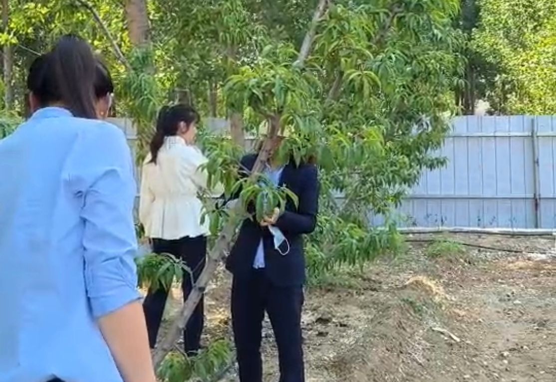 意美特周報(bào) 總第001期(pic12) 意美特周報(bào) 總第001期(pic12)